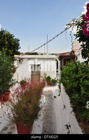 Stretto sentiero con piante e piccole case nel tradizionale quartiere di Anafiotika, in stile villaggio architettura in città. Foto Stock