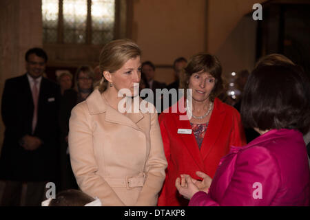 Abbazia di Dorchester, Oxford. Xiii Febbraio, 2014. HRH Sophie, Countesss del Wessex visite Abbazia di Dorchester a dà il suo appoggio al patto, di un bambini carità celebra i suoi cento anni. La carità adozioni aiuta il progresso e altri progetti comunitari il successo. Credito: petericardo lusabia/Alamy Live News Foto Stock