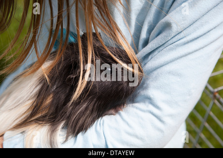 Ragazza con la guinea pig, close-up Foto Stock