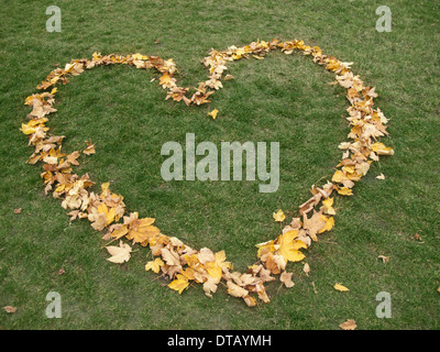 Forma di cuore fatta da foglie di autunno sull'erba Foto Stock