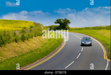 Piegare su strada di campagna con cielo blu e albero in background e guida auto dietro l'angolo Foto Stock