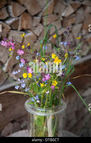 Close-up di vaso di fiori Foto Stock