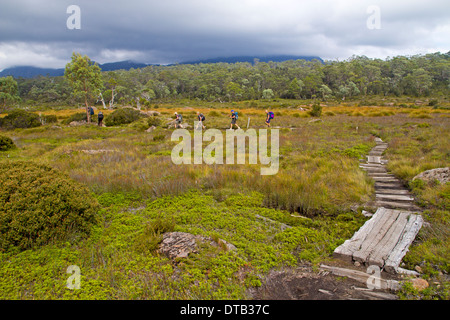 Gli escursionisti sull'Overland Track nei pressi di Pelion Gap Foto Stock