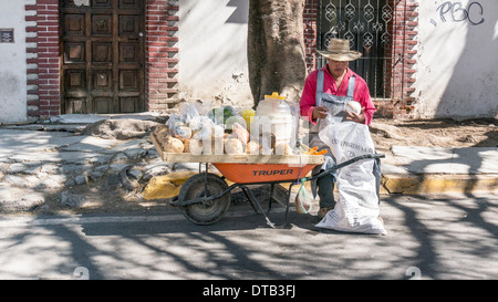 Il fornitore si siede sulla strada sotto agli alberi vende rifilato noci di cocco & agua de coco acqua di cocco rinfreschi da orange carriola Oaxaca Foto Stock