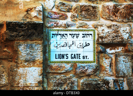 Lion gate street sign in Gerusalemme, Israele Foto Stock