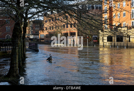 Il Kennet and Avon Canal, Reading, Berkshire, Inghilterra, Regno Unito Foto Stock