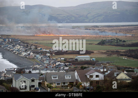 Borth Ceredigion West Wales, Venerdì 14 Feb 2014 grandi parti di cors Fochno (Borth Bog) wetland riserva naturale sono sul fuoco a seguito del crollo riportati di linee elettriche ad alta tensione durante la notte. Gli incendi, stiramento in una linea alcuni 250m ampia stanno bruciando 200m da case vicine, roulotte e chiesa Photo credit: keith morris/Alamy Live News Foto Stock