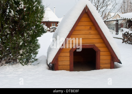 Doghouse coperte da neve stand sul cantiere nei pressi di thuja Foto Stock