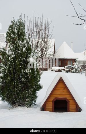 Doghouse coperte da neve stand sul cantiere nei pressi di thuja Foto Stock