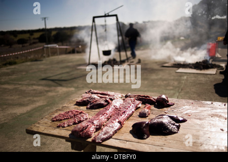 La macellazione di suini in Villaseco de los Gamitos, Spagna. la macellazione di uccisione matanza spagnolo cerdo Foto Stock