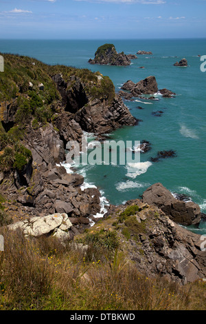 Cape Foulwind, Westport, nella costa occidentale dell'Isola del Sud, Nuova Zelanda Foto Stock