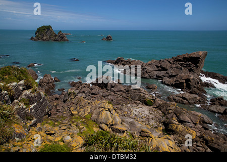 Cape Foulwind, westport, nella costa occidentale dell'Isola del Sud, Nuova Zelanda Foto Stock