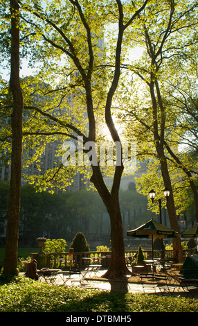 La mattina presto del sole attraverso gli alberi in Bryant Park, Midtown Manhattan New York STATI UNITI D'AMERICA Foto Stock