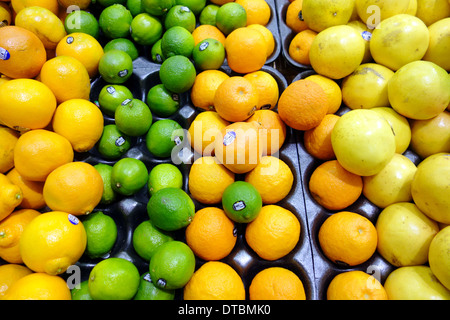 Selezione di agrumi in uno scaffale di supermercato a Toronto in Canada Foto Stock