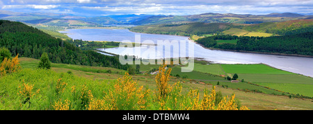 Paesaggio Estate vista sul Dornoch Firth Struie Ponte Bonnar Sutherland Highlands della Scozia UK Foto Stock