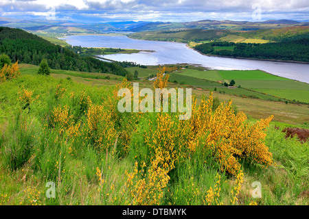 Paesaggio Estate vista sul Dornoch Firth Struie Ponte Bonnar Sutherland Highlands della Scozia UK Foto Stock