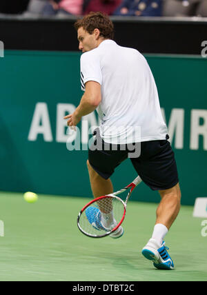 Rotterdam, Paesi Bassi. 14 feb 2014. Ernests GULBIS(LET) nella sua partita contro Juan-Martin Del Potro(ARG) all'ABN AMRO World Tennis Tournament foto:Tennisimages/Henk Koster/Alamy Live News Foto Stock