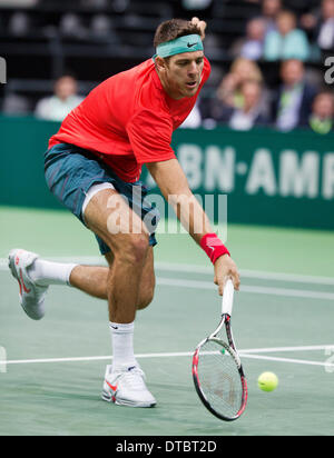 Rotterdam, Paesi Bassi. 14 feb 2014. Juan-Martin Del Potro(ARG) nella sua partita contro Ernests GULBIS(LET) all'ABN AMRO World Tennis Tournament foto:Tennisimages/Henk Koster/Alamy Live News Foto Stock