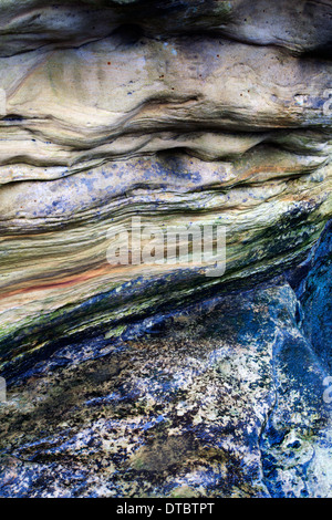 Colorate gli strati di roccia a Doo Craigs St Andrews Fife Scozia Scotland Foto Stock