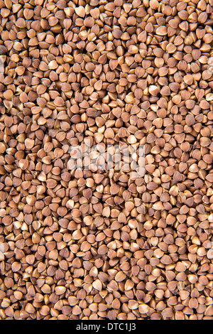 Sfondo di grano saraceno - tanti minuscoli chicchi di grano saraceno Foto Stock