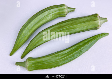 L'Okra su sfondo bianco, 'Abelmoschus esculentus' . Foto Stock