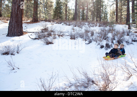 Due giovani fratelli slittare attraverso una foresta Foto Stock