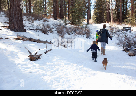 Bimbo e nonna con slitta in boschi innevati Foto Stock