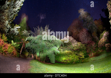 Trebah Giardino di notte; con stelle; Cornovaglia; Regno Unito Foto Stock