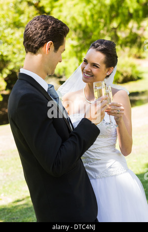 Sposa tostatura flauti di champagne presso il park Foto Stock