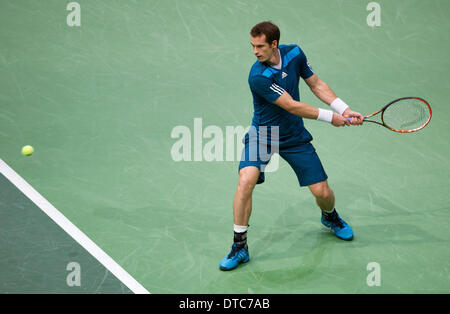 Rotterdam, Paesi Bassi. 14 feb 2014. ABN AMRO World Tennis Tournament Andy Murray(GRB) nella sua partita contro Marin CILIC(KRO) foto:Tennisimages/Henk Koster/Alamy Live News Foto Stock