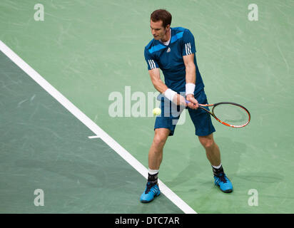 Rotterdam, Paesi Bassi. 14 feb 2014. ABN AMRO World Tennis Tournament Andy Murray(GRB) nella sua partita contro Marin CILIC(KRO) foto:Tennisimages/Henk Koster/Alamy Live News Foto Stock