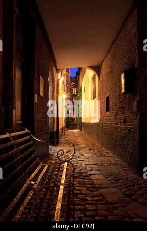 Il viale medievale denominato 'Vlaeykensgang" (1591) di Anversa, Belgio Foto Stock