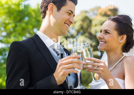 Sposa tostatura flauti di champagne presso il park Foto Stock