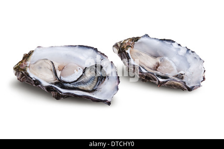 Fresca ostrica aperta isolata su sfondo bianco Foto Stock