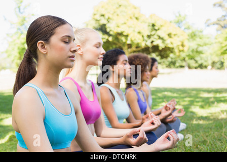 Amici meditando nella posizione del loto Foto Stock