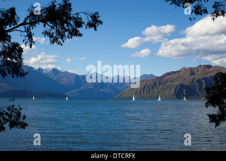 Barche a vela sul lago Wanaka, Wanaka, Isola del Sud, Nuova Zelanda Foto Stock