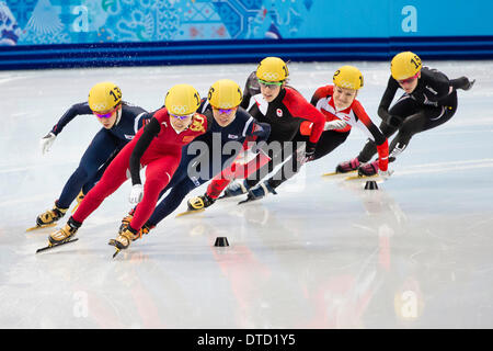 Sochi, Krai Krasnodar, Russia. 15 feb 2014. Durante il breve di pattinaggio di velocità su pista da pattinaggio di Iceberg Palace, Cluster costiere - XXII Giochi Olimpici Invernali Credito: Azione Sport Plus/Alamy Live News Foto Stock