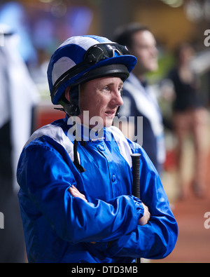 Paolo Hanagan prima della partenza di Gara 6 Al Meydan race track durante la terza riunione del 2014 Dubai World Cup Carnival Foto Stock