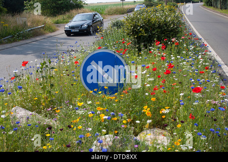 Aiuola, fiore-letto, fiori, prato fiorito, rifugio di traffico pedonale isola rifugio, strada, Blumenwiese, Verkehrsinsel Foto Stock