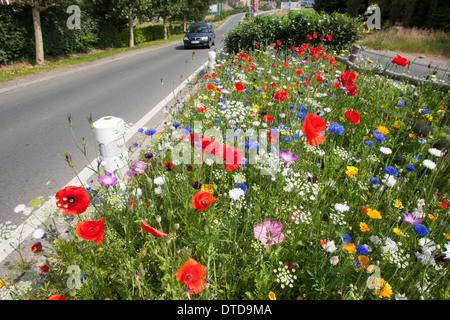 Aiuola, fiore-letto, fiori, prato fiorito, rifugio di traffico pedonale isola rifugio, strada, Blumenwiese, Verkehrsinsel Foto Stock