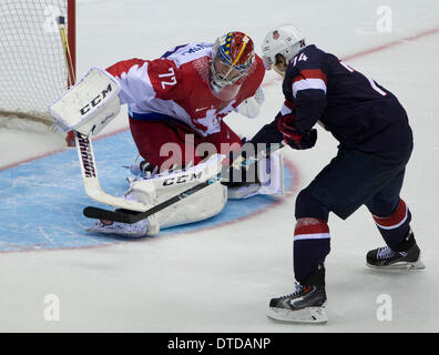 Sochi, Russia. 15 feb 2014. Mens Hockey gioco al Bolshoy Cupola di ghiaccio a Sochi 2014 Olimpiadi invernali il 15 febbraio 2014 in Sochi, Russia. Credito: Paolo Kitagaki Jr./ZUMAPRESS.com/Alamy Live News Foto Stock