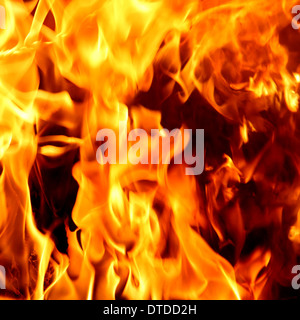Rosso Fuoco e fiamme sullo sfondo Foto Stock