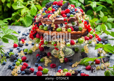 Torta fresca selvatica bacche nella foresta Foto Stock