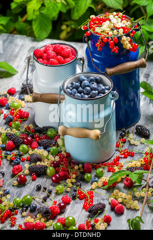 Appena raccolto frutti di bosco frutti in estate Foto Stock