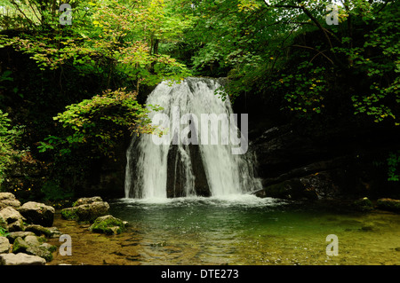 Janet's Foss cascata, Malham, West Yorkshire, Regno Unito Foto Stock