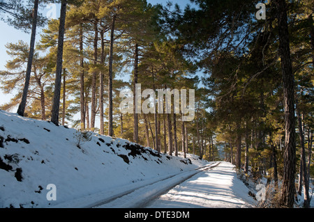 Paesaggio nevicato, Parco Naturale Sierras de Cazorla Segura y Las Villas, Jaen-provincia, regione dell'Andalusia, Spagna, Europa Foto Stock