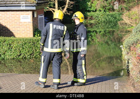 Domenica 16 Febbraio i vigili del fuoco continuano a pompare acqua lontano dalle strade intorno a Purley in Londra. Decine di vigili del fuoco sono stati il pompaggio di acqua lontano dalla proprietà influenzate da acqua di inondazione. Passerelle temporanee sono state fornite al fine di consentire a residenti spostare intorno a. Credito: Hot Shots/Alamy Live News Foto Stock