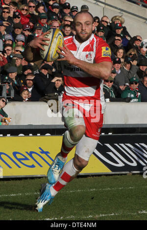 Leicester, Regno Unito. 16 feb 2014. Gloucesters Charlie Sharples fa una pausa durante la Aviva Premiership gioco tra Leicester Tigers e Gloucester Rugby da Welford Road Stadium. Credito: Azione Sport Plus/Alamy Live News Foto Stock