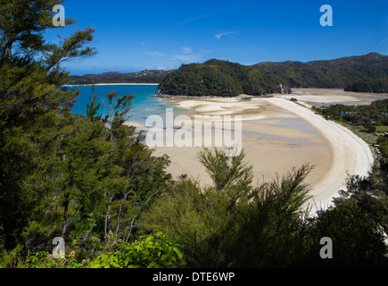 Torrent Bay, il Parco Nazionale Abel Tasman, Nuova Zelanda Foto Stock