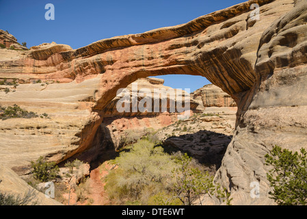 Sipapu Bridge, ponti naturali monumento nazionale, Utah, Stati Uniti d'America Foto Stock